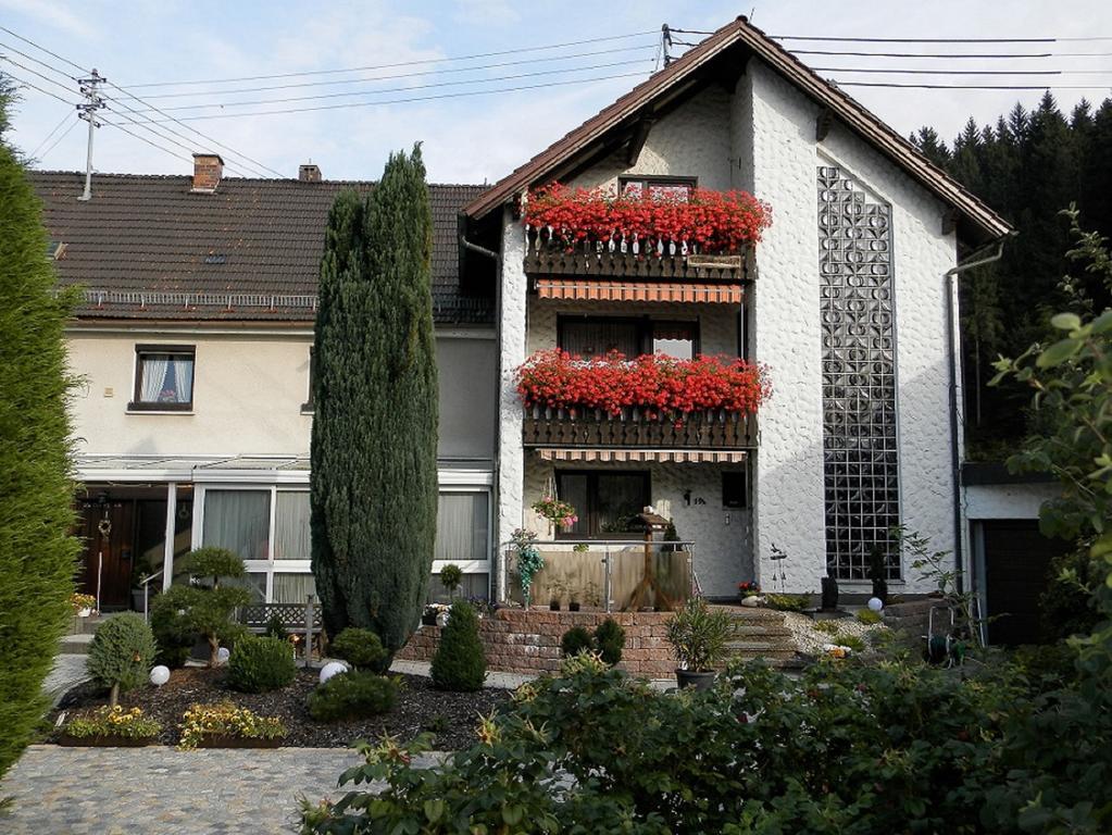 Ferienwohnungen Haus Waltraud Steinwiesen Экстерьер фото